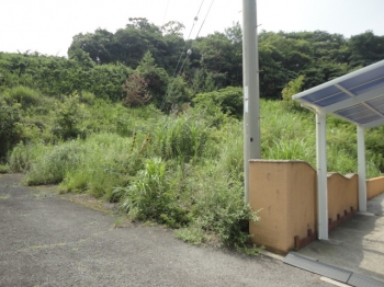 Oώʐ^